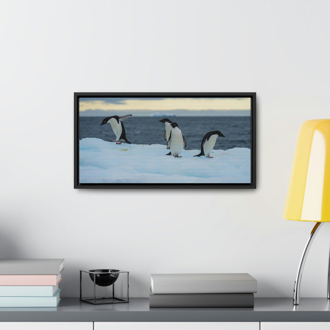 Penguin Dance - Canvas with Frame