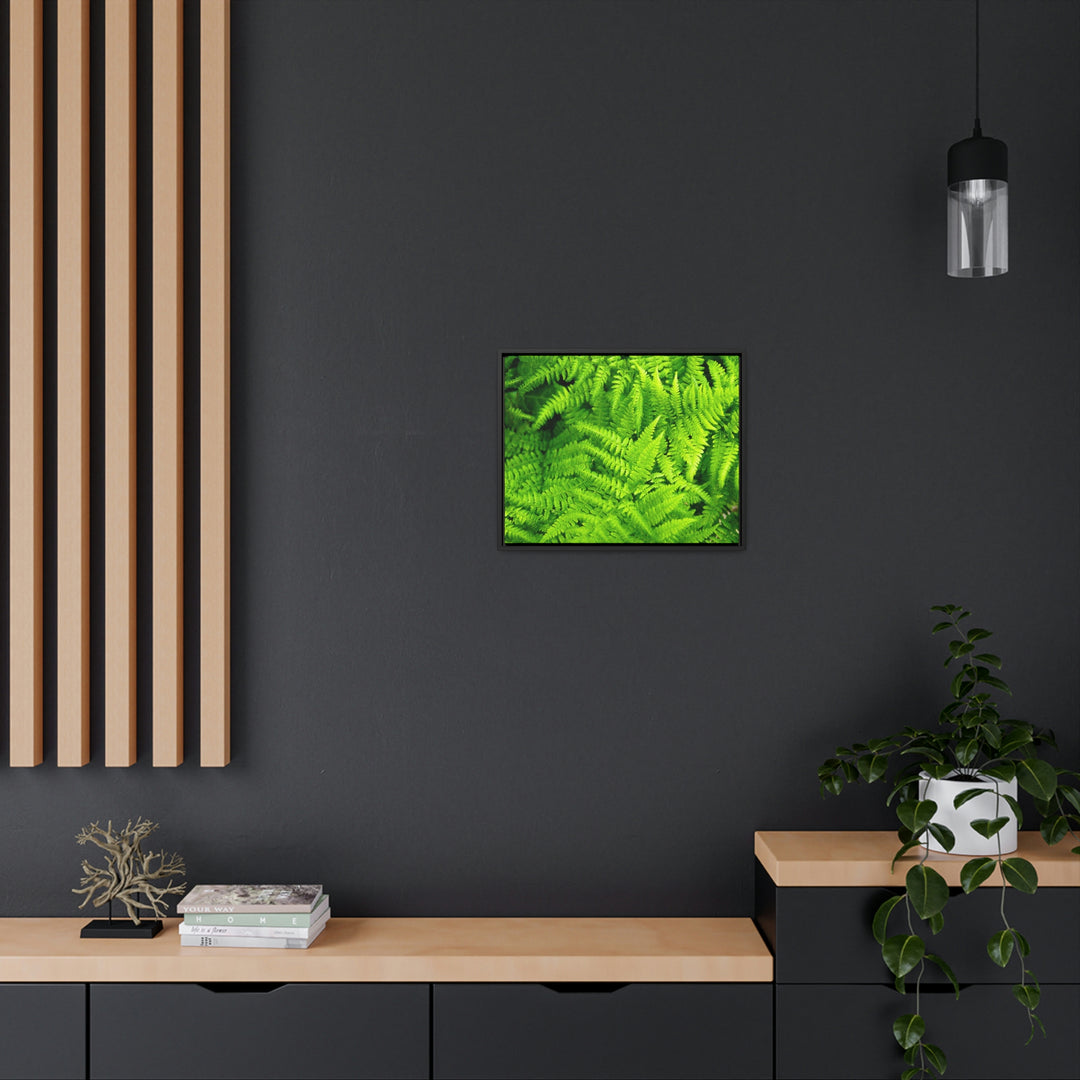 Ferns, Ferns, Ferns - Canvas with Frame