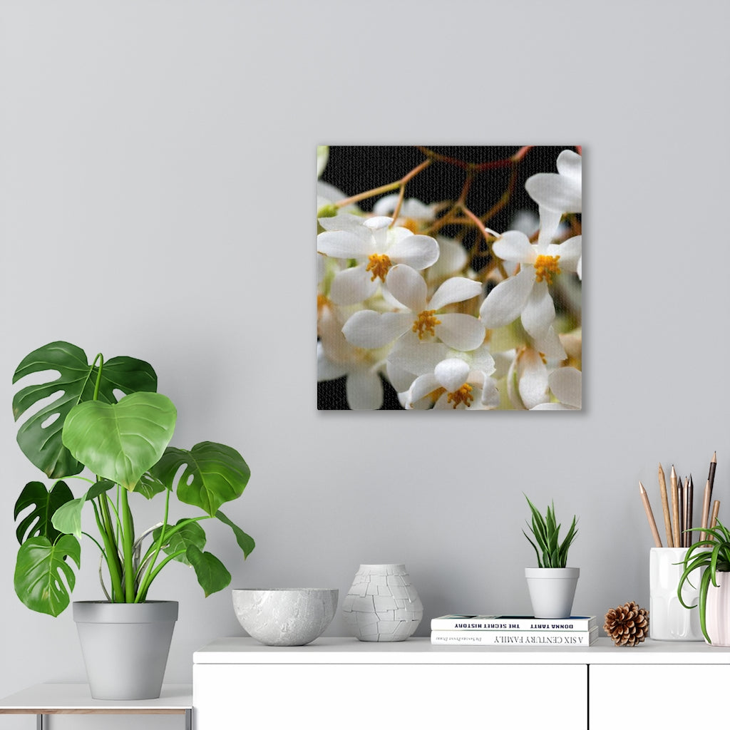 Floral Network - Canvas