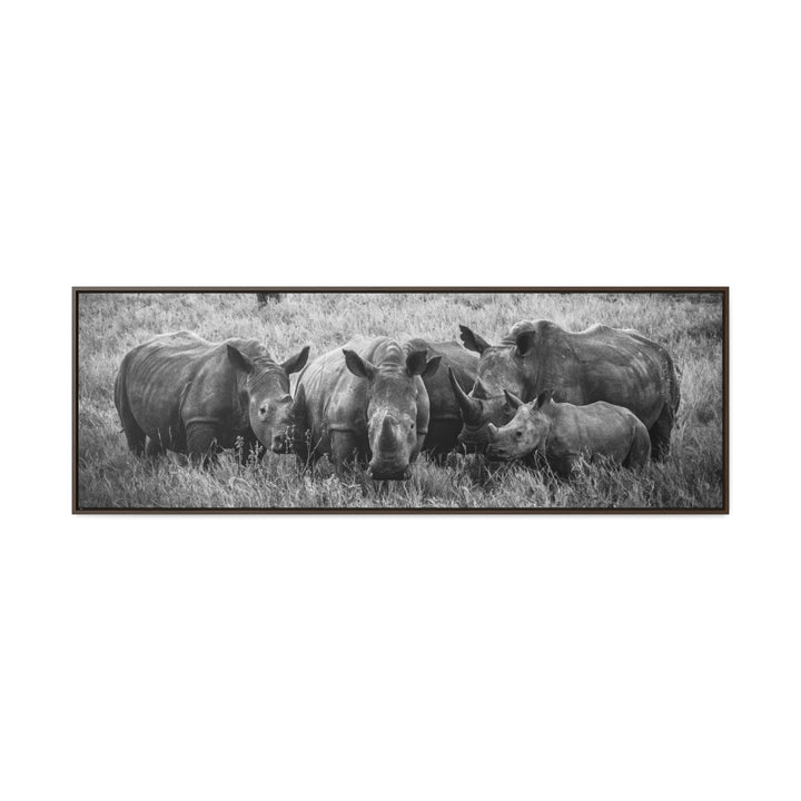 Rhino Family in Black and White - Canvas with Frame