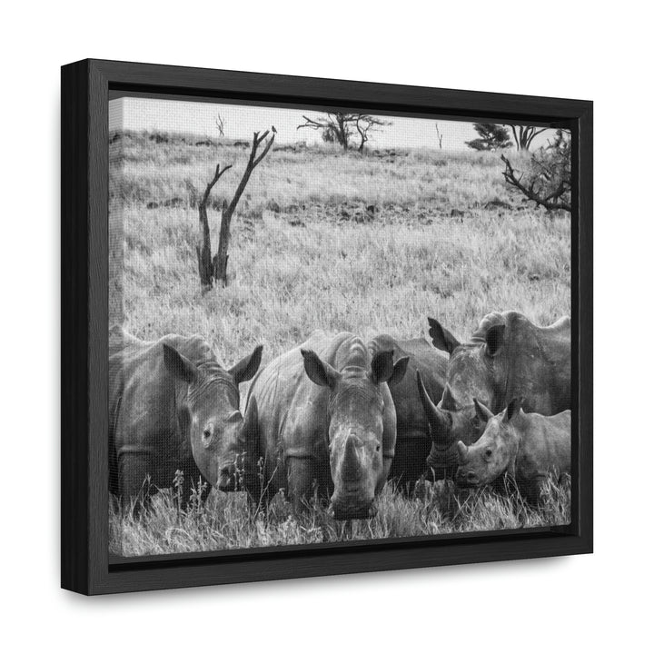 Rhino Family in Black and White - Canvas with Frame