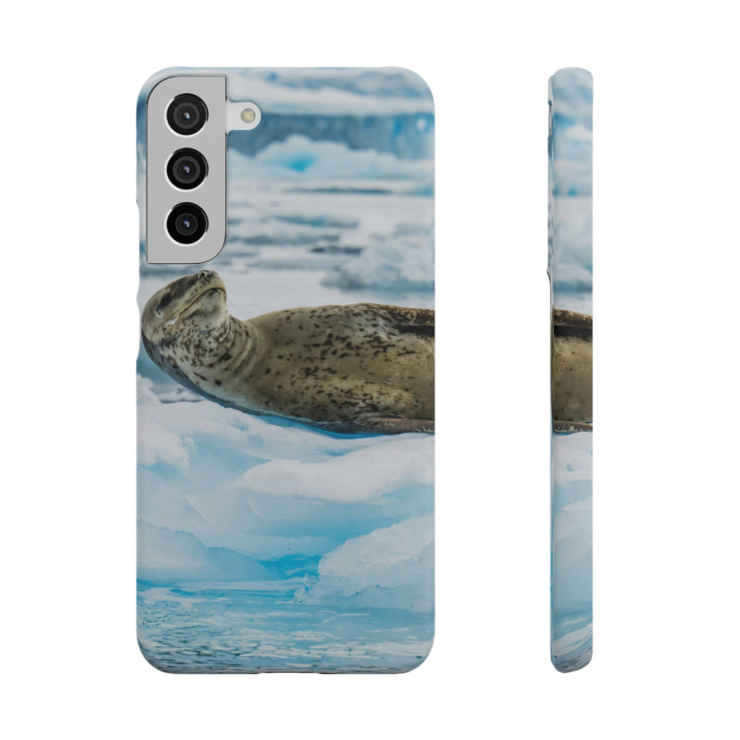 Leopard Seal Relaxing - Phone Case