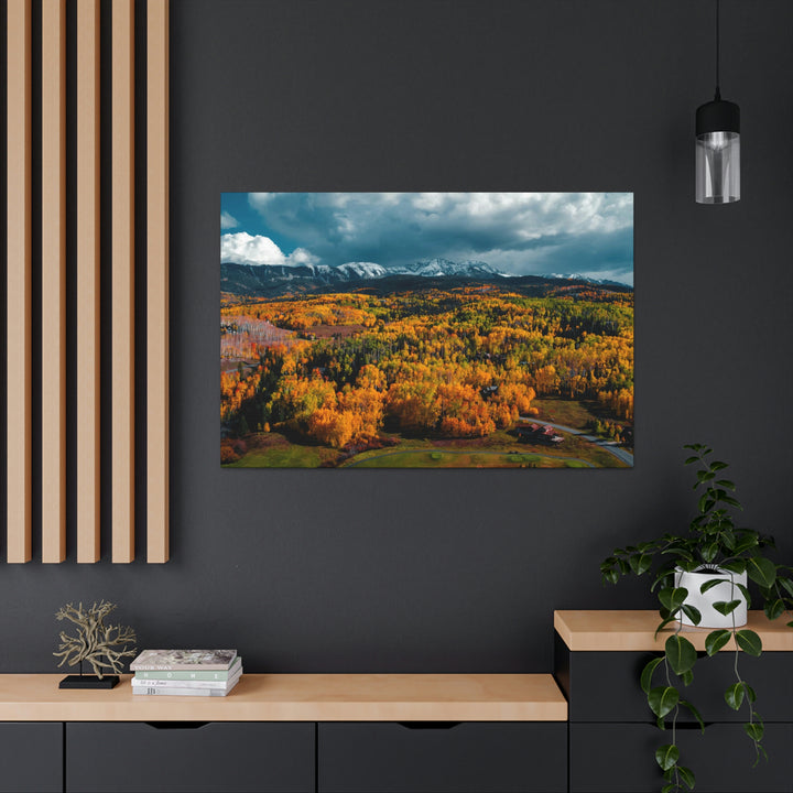 Golds of Autumn - Canvas