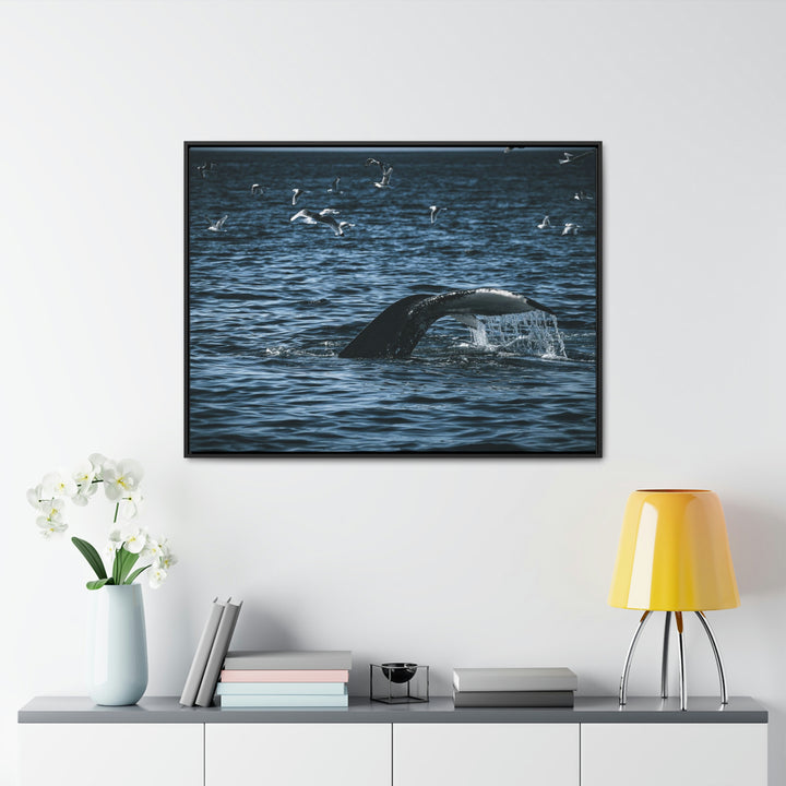 Feeding Tail - Canvas with Frame