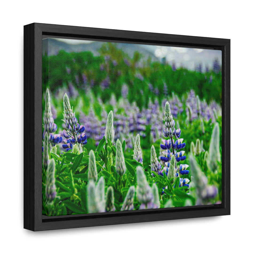 Glowing Lupin with Mountains - Canvas with Frame