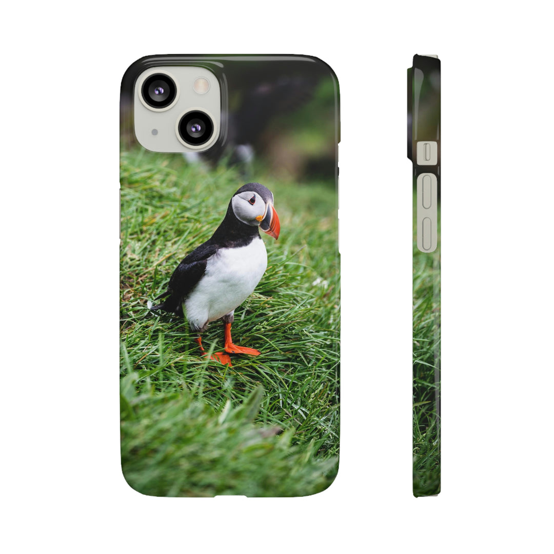 Curious Eye - Phone Case