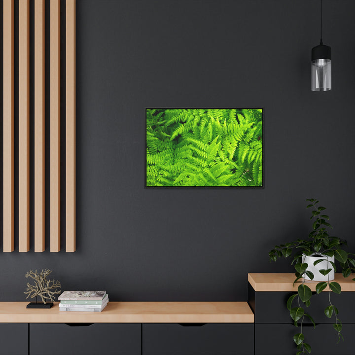 Ferns, Ferns, Ferns - Canvas with Frame