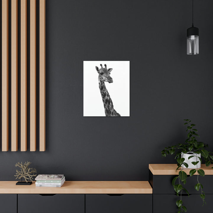 Giraffe Portrait in Black and White  - Canvas