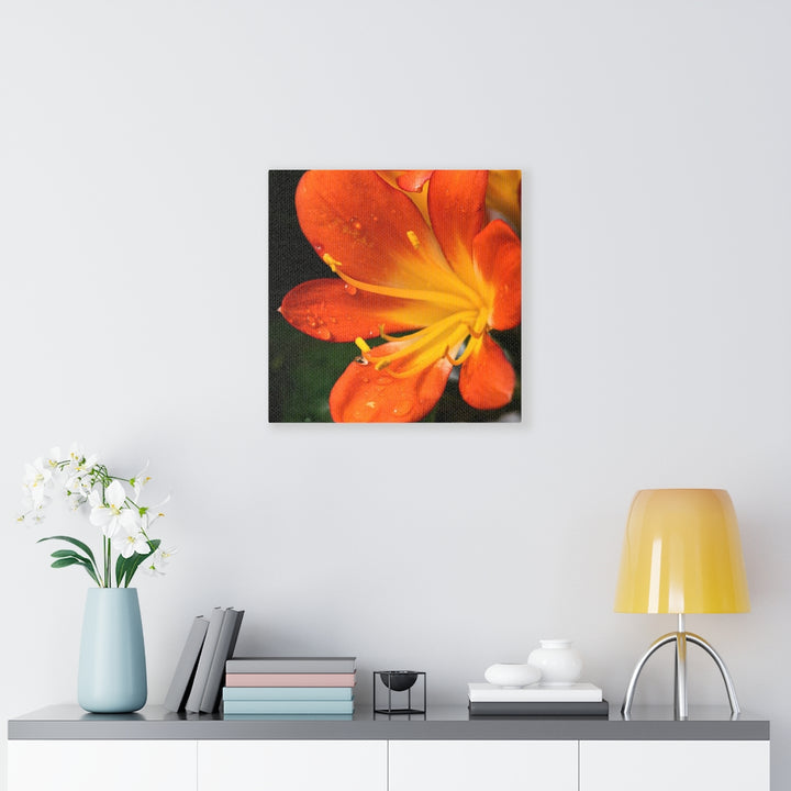 Bright Bush Lily - Canvas