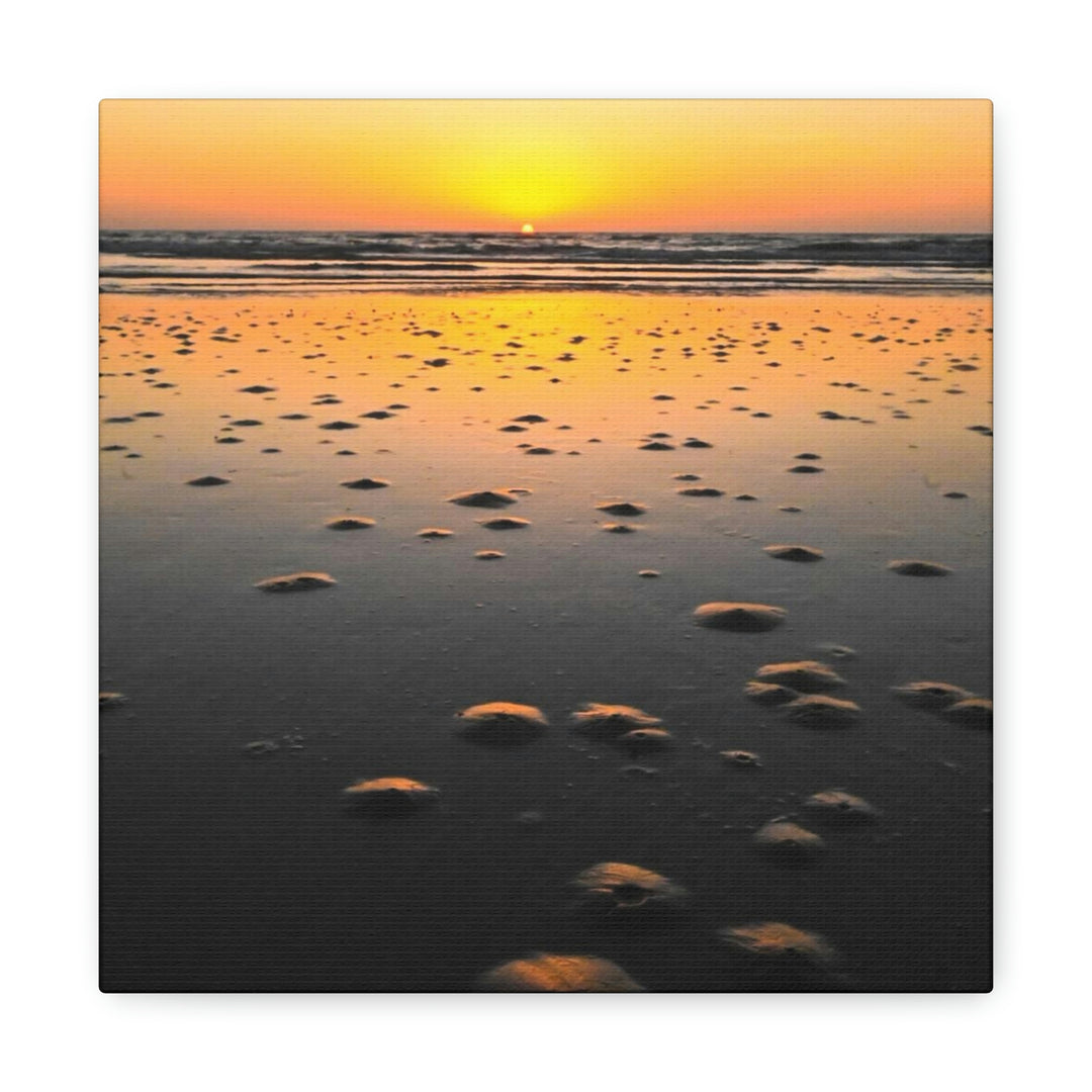 Burrows at Sunrise - Canvas