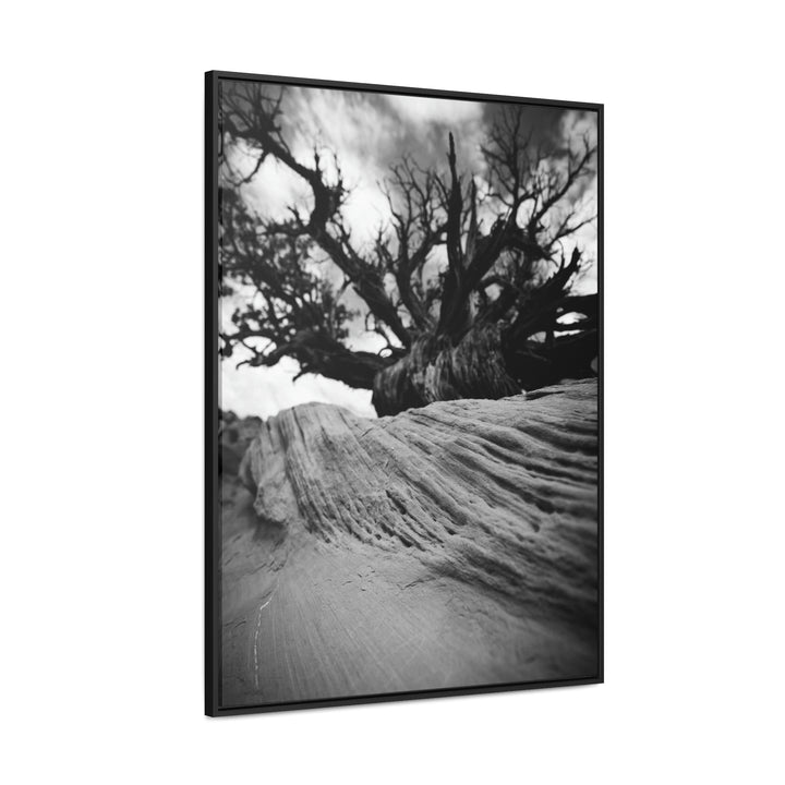 Desert Reach in Black and White - Canvas with Frame