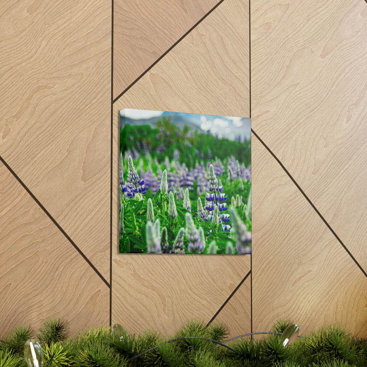 Glowing Lupin with Mountains - Canvas