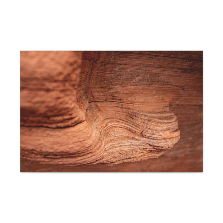 Sedimentary Rock Curves - Canvas