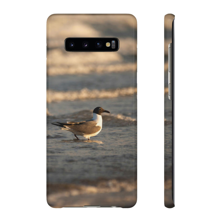 Laughing Gull in the Surf - Phone Case