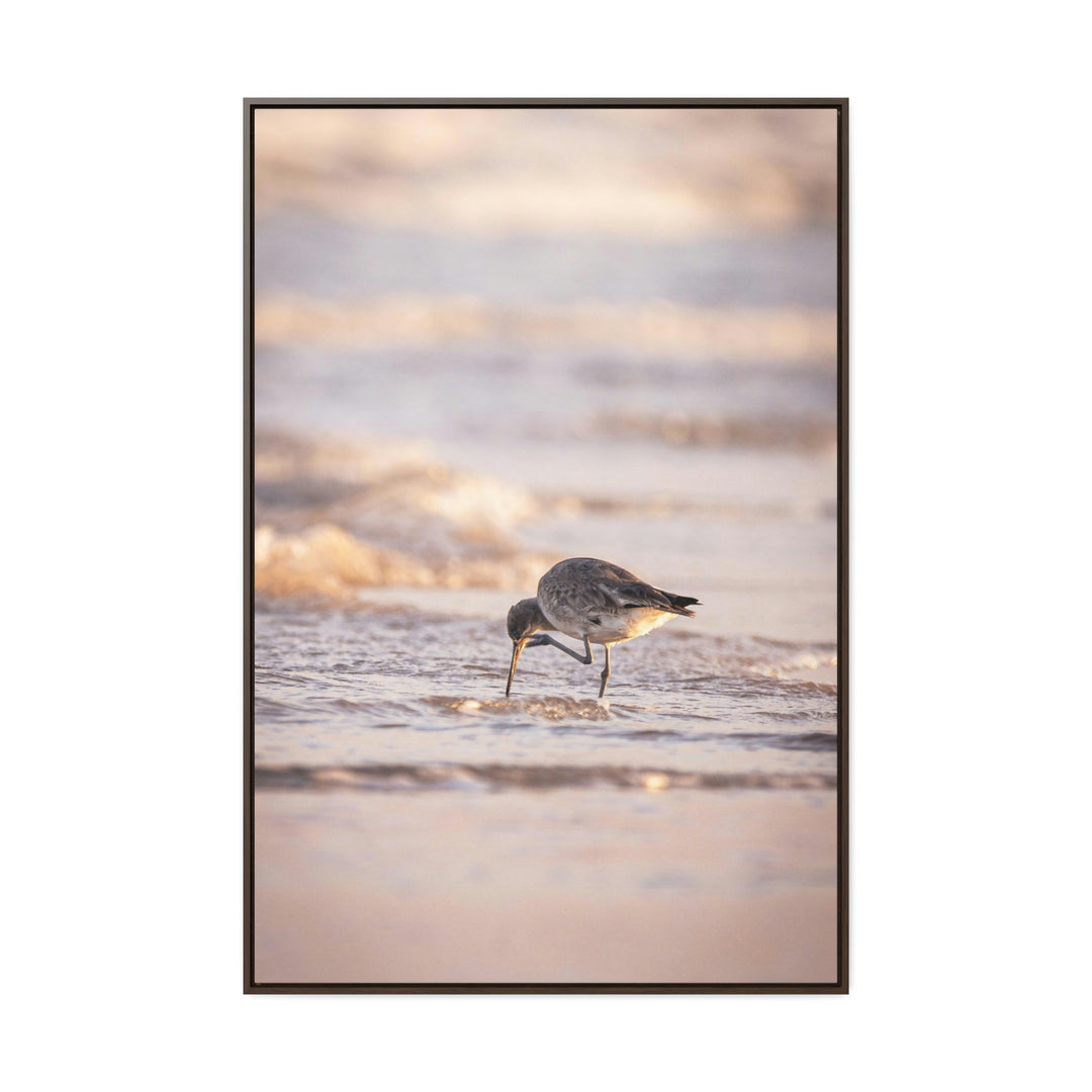 Willet Itch - Canvas with Frame