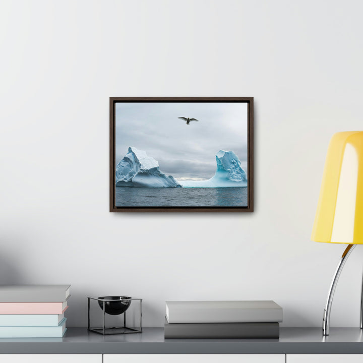 Antarctic Flight - Canvas with Frame