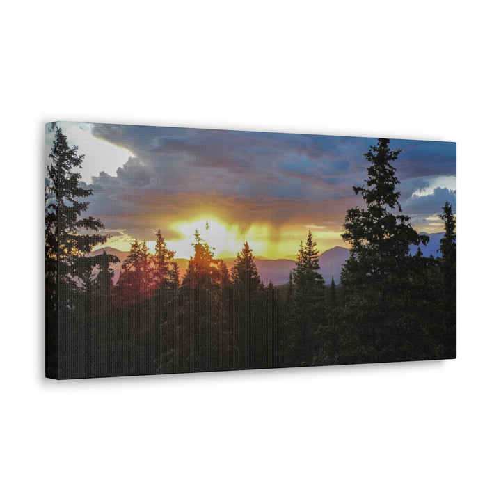 Rainy Sunset Through the Trees - Canvas