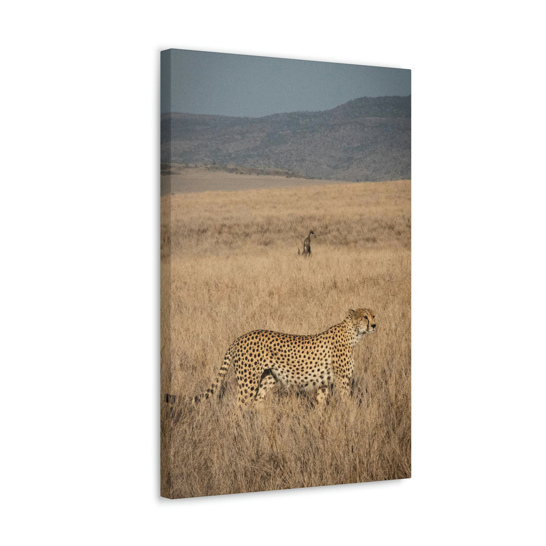 Regal Camouflage - Canvas