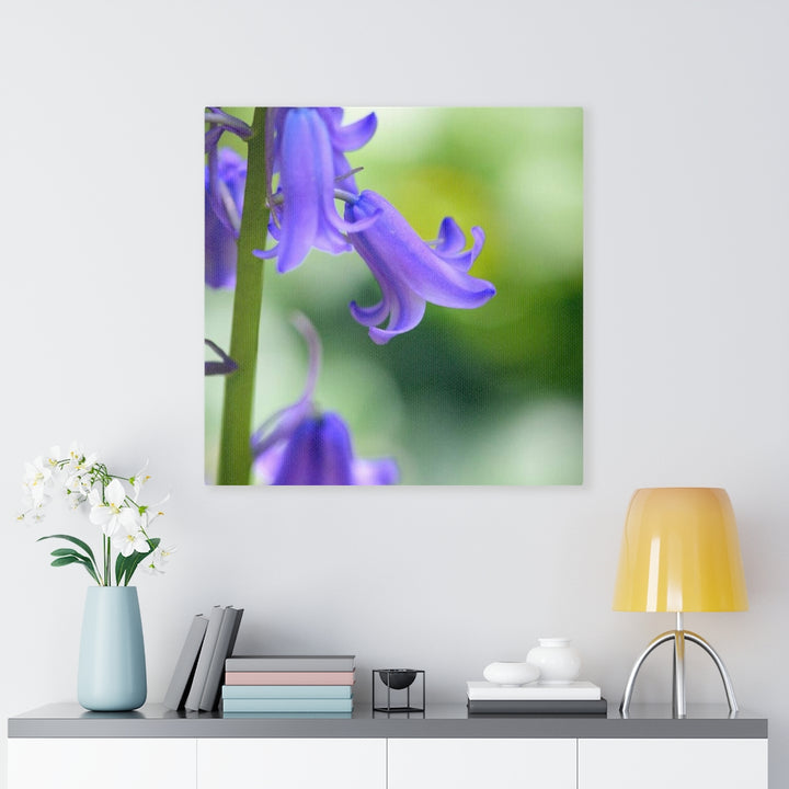 Delicate Bell - Canvas