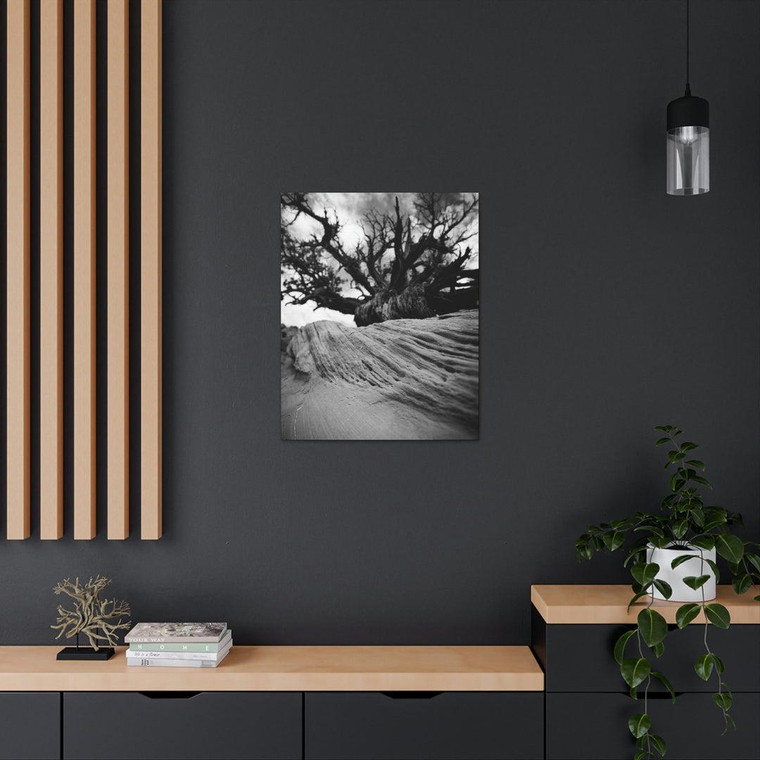 Desert Reach in Black and White - Canvas