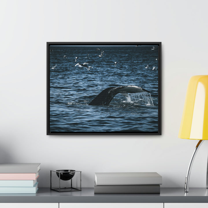 Feeding Tail - Canvas with Frame