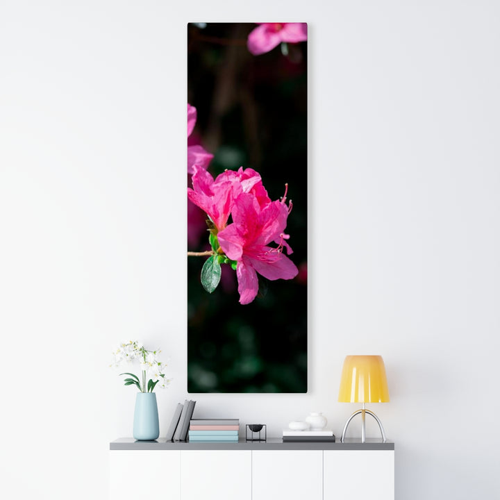 Standout Azalea - Canvas