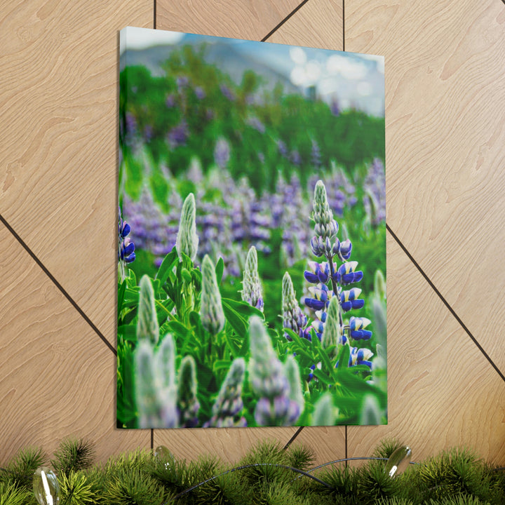 Glowing Lupin with Mountains - Canvas