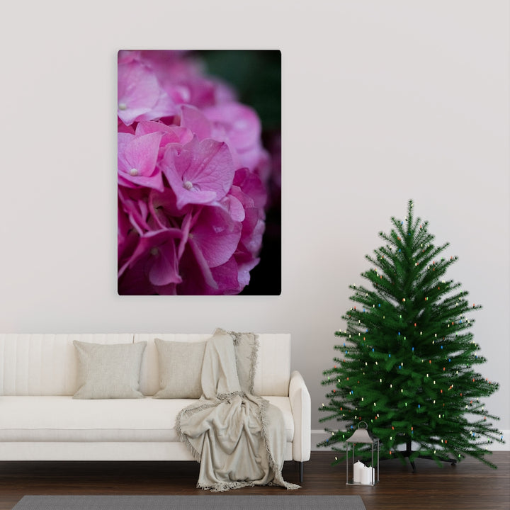 Pink Hydrangea Detail - Canvas