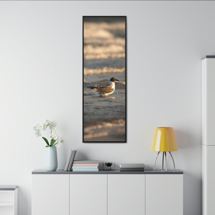 Laughing Gull in the Surf - Canvas with Frame