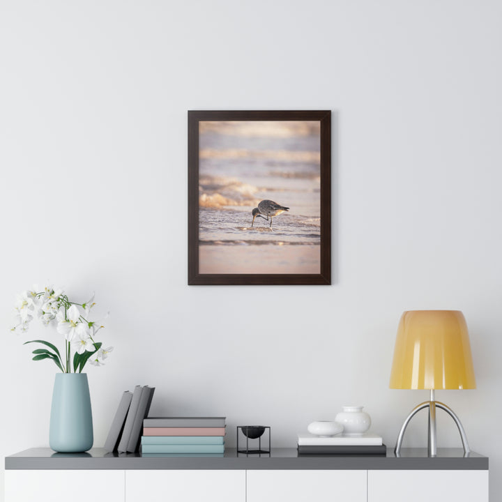 Willet Itch - Framed Print