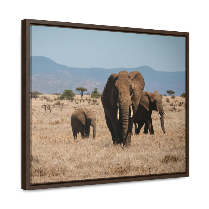 Family March - Canvas With Frame