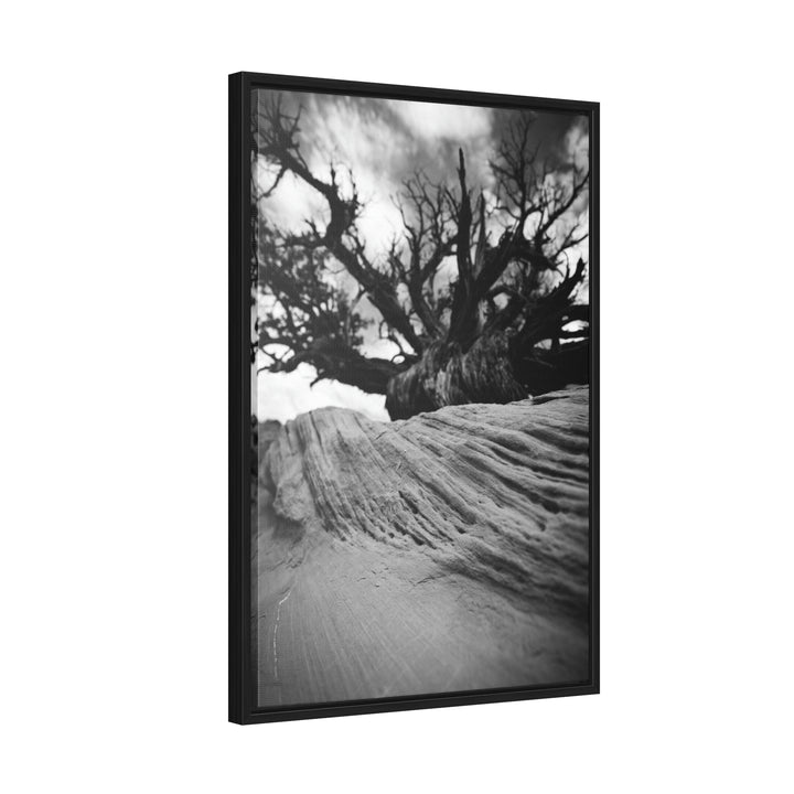 Desert Reach in Black and White - Canvas with Frame