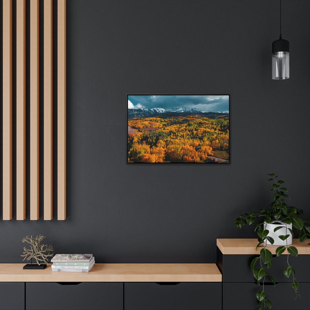 Golds of Autumn - Canvas with Frame