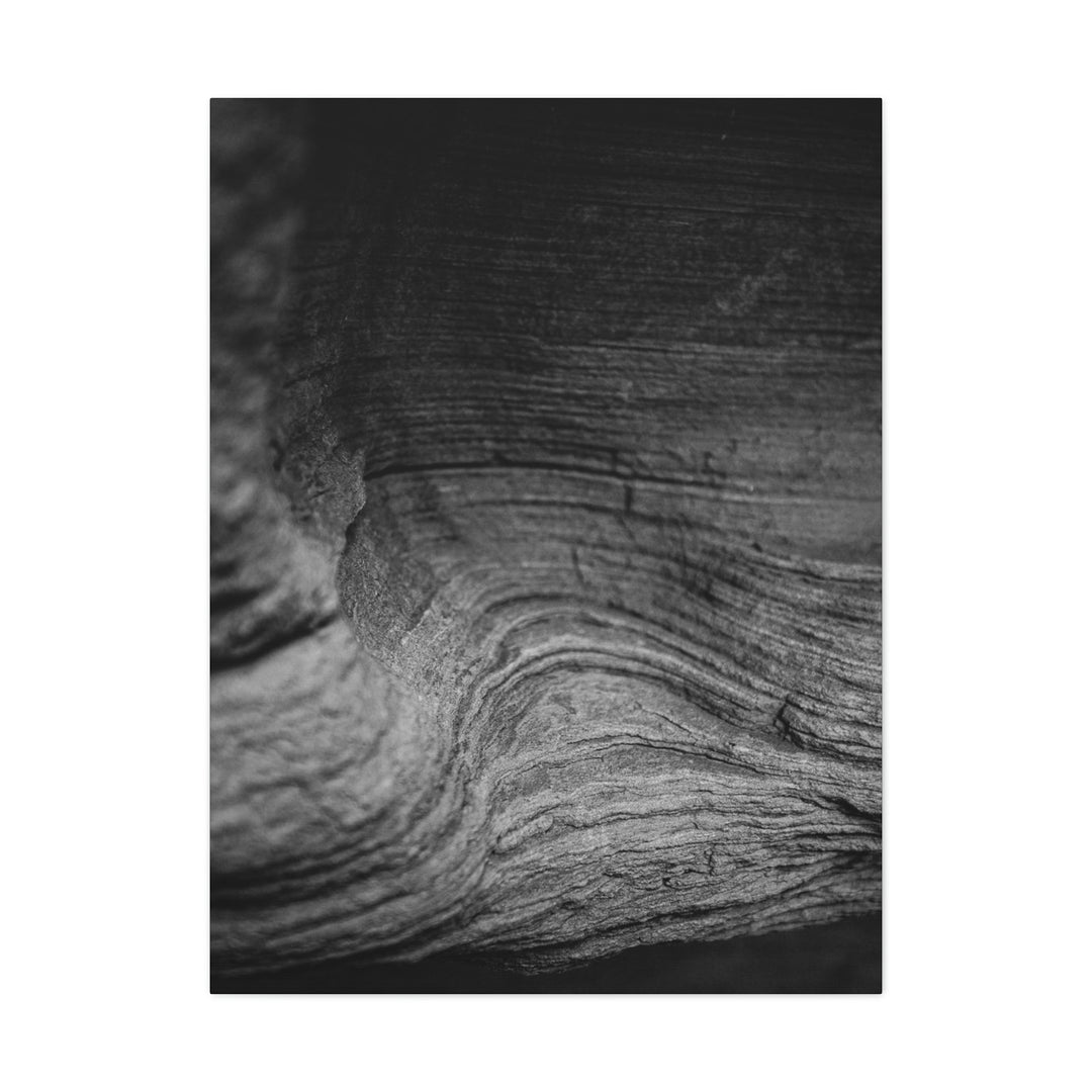 Sedimentary Rock Curves in Black and White - Canvas