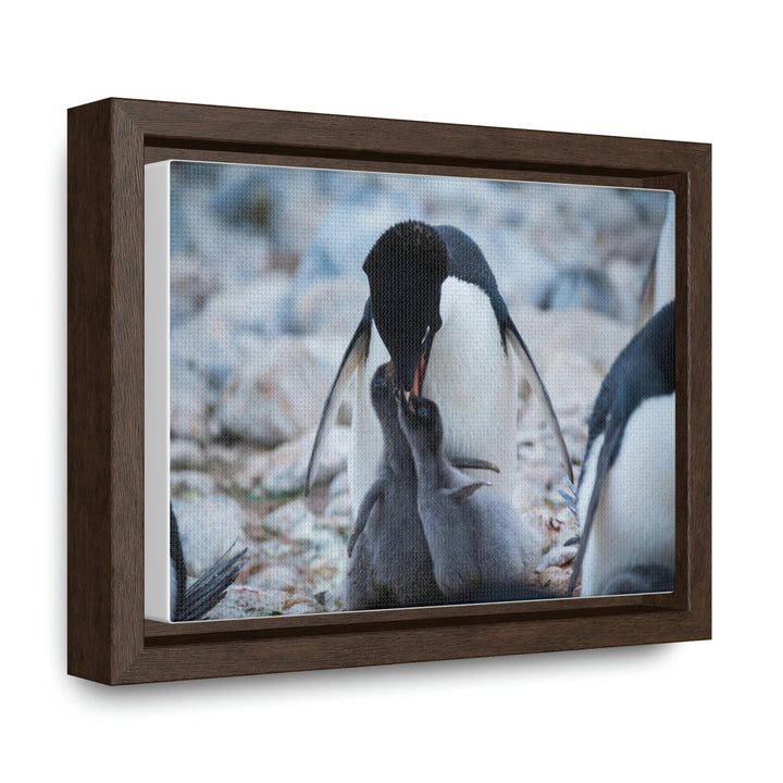 Feeding Time - Canvas with Frame