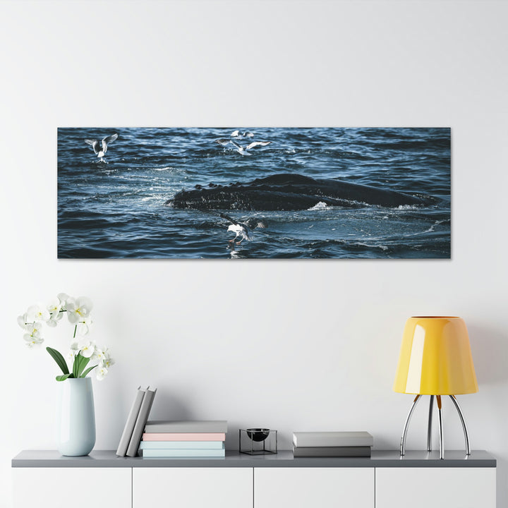 Humpback Hello - Canvas