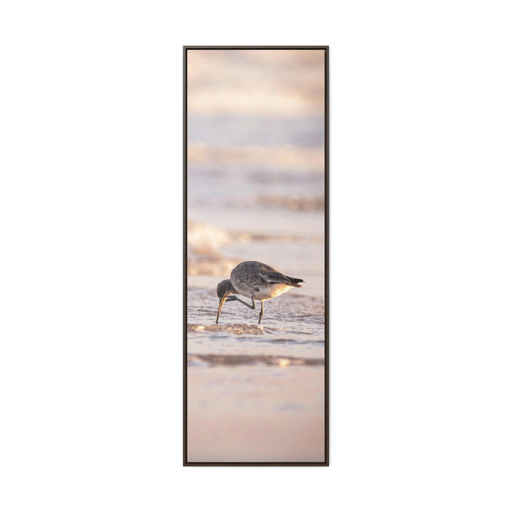 Willet Itch - Canvas with Frame