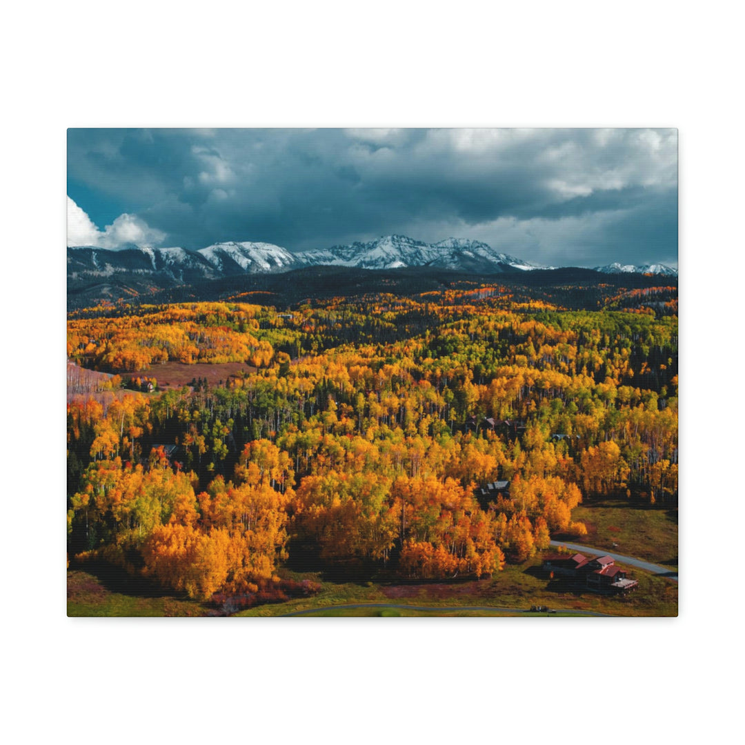 Golds of Autumn - Canvas