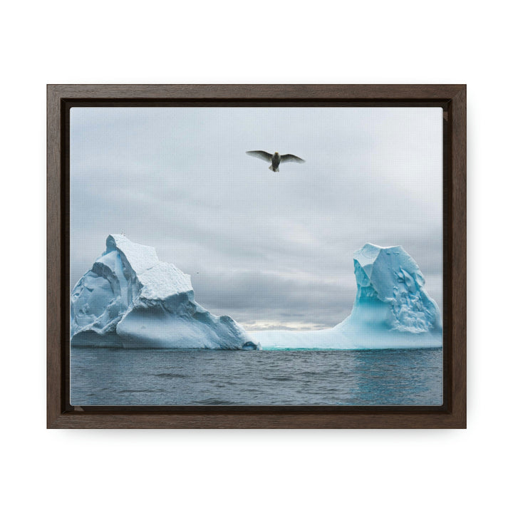 Antarctic Flight - Canvas with Frame