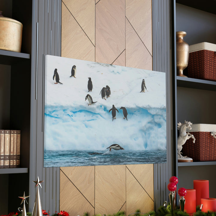 Porpoising Penguin - Canvas