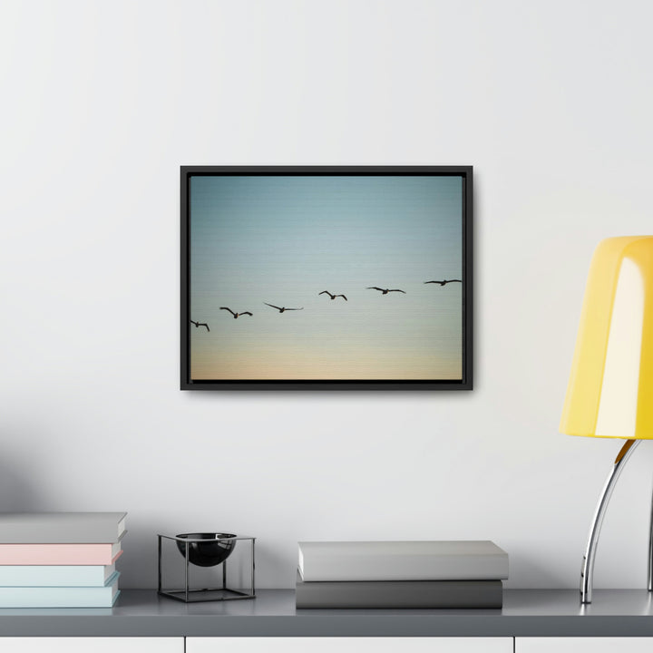 Brown Pelicans in Flight - Canvas with Frame