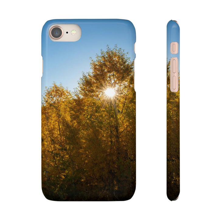 Sun Through the Aspens - Phone Case