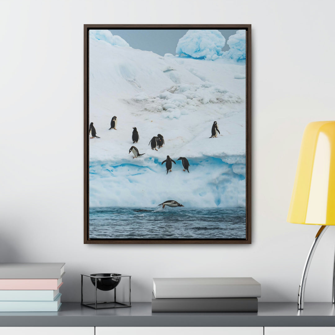 Porpoising Penguin - Canvas with Frame