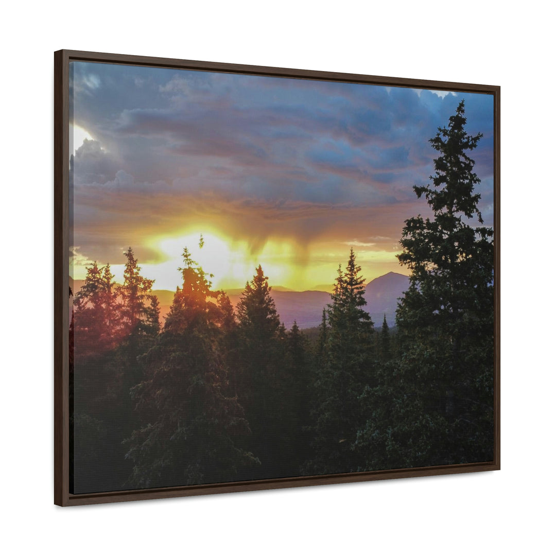 Rainy Sunset Through the Trees - Canvas with Frame