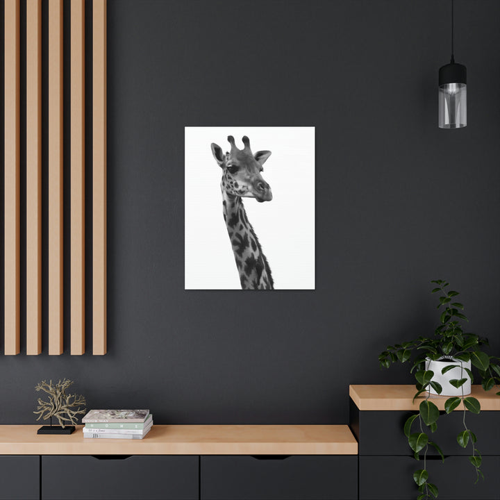 Giraffe Portrait in Black and White  - Canvas