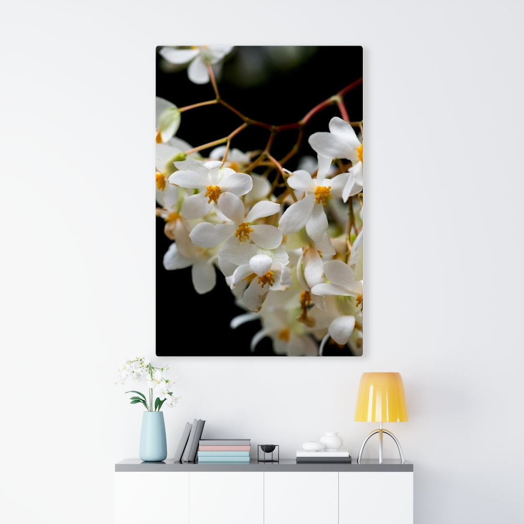 Floral Network - Canvas