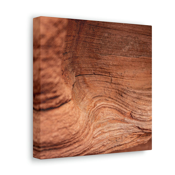 Sedimentary Rock Curves - Canvas