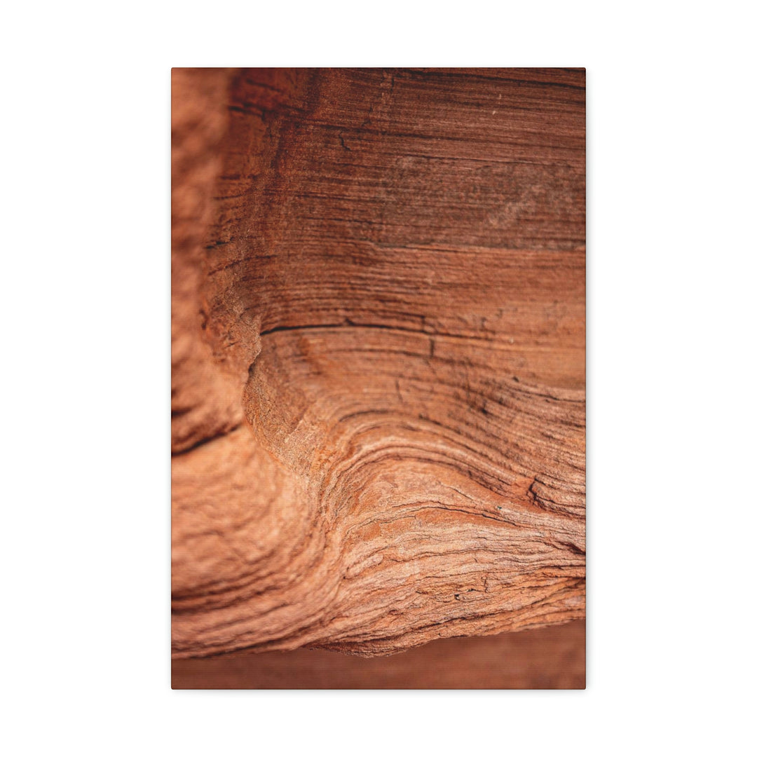 Sedimentary Rock Curves - Canvas