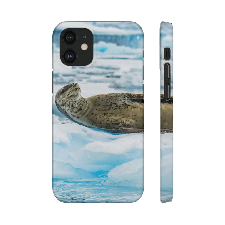 Leopard Seal Relaxing - Phone Case