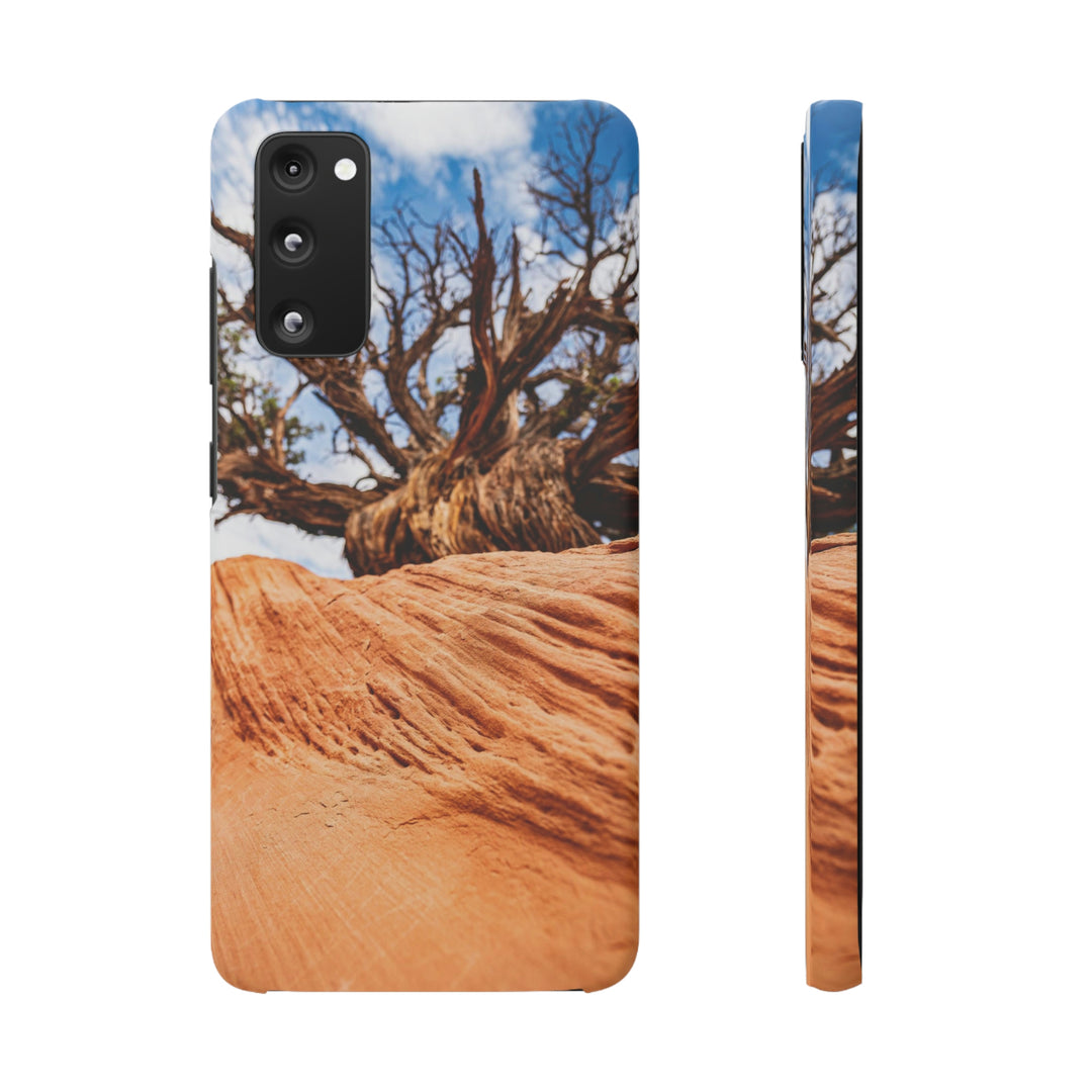 Desert Reach - Phone Case